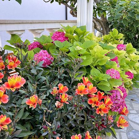 Bed & Breakfast Rab Palit Zewnętrze zdjęcie