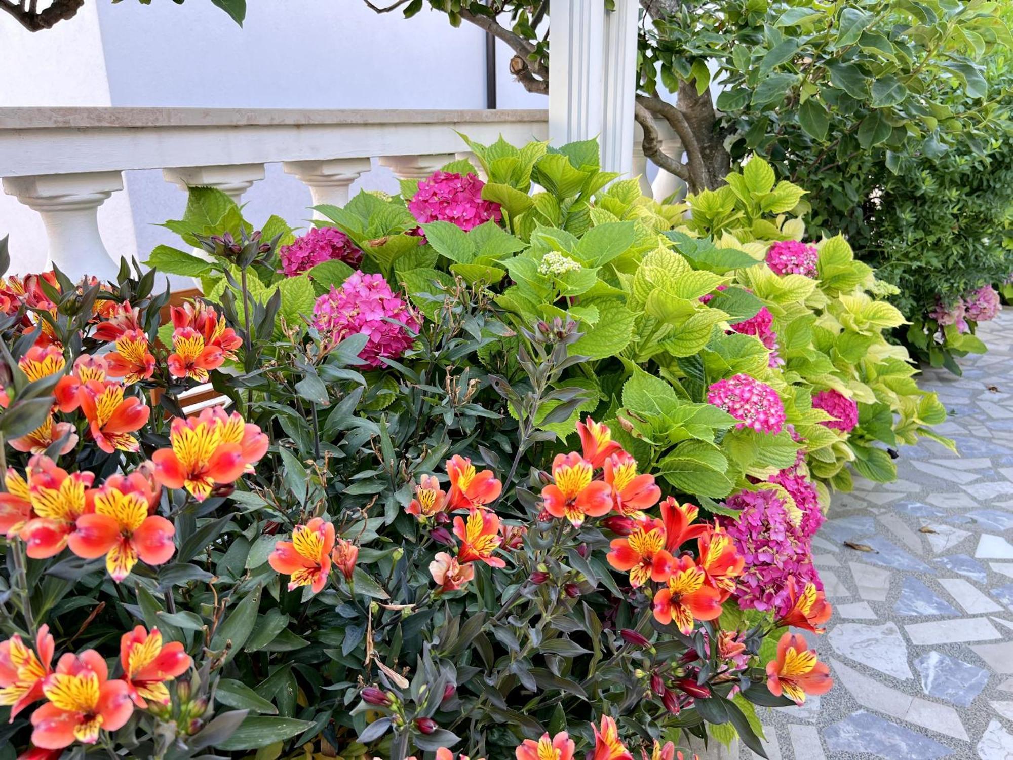 Bed & Breakfast Rab Palit Zewnętrze zdjęcie