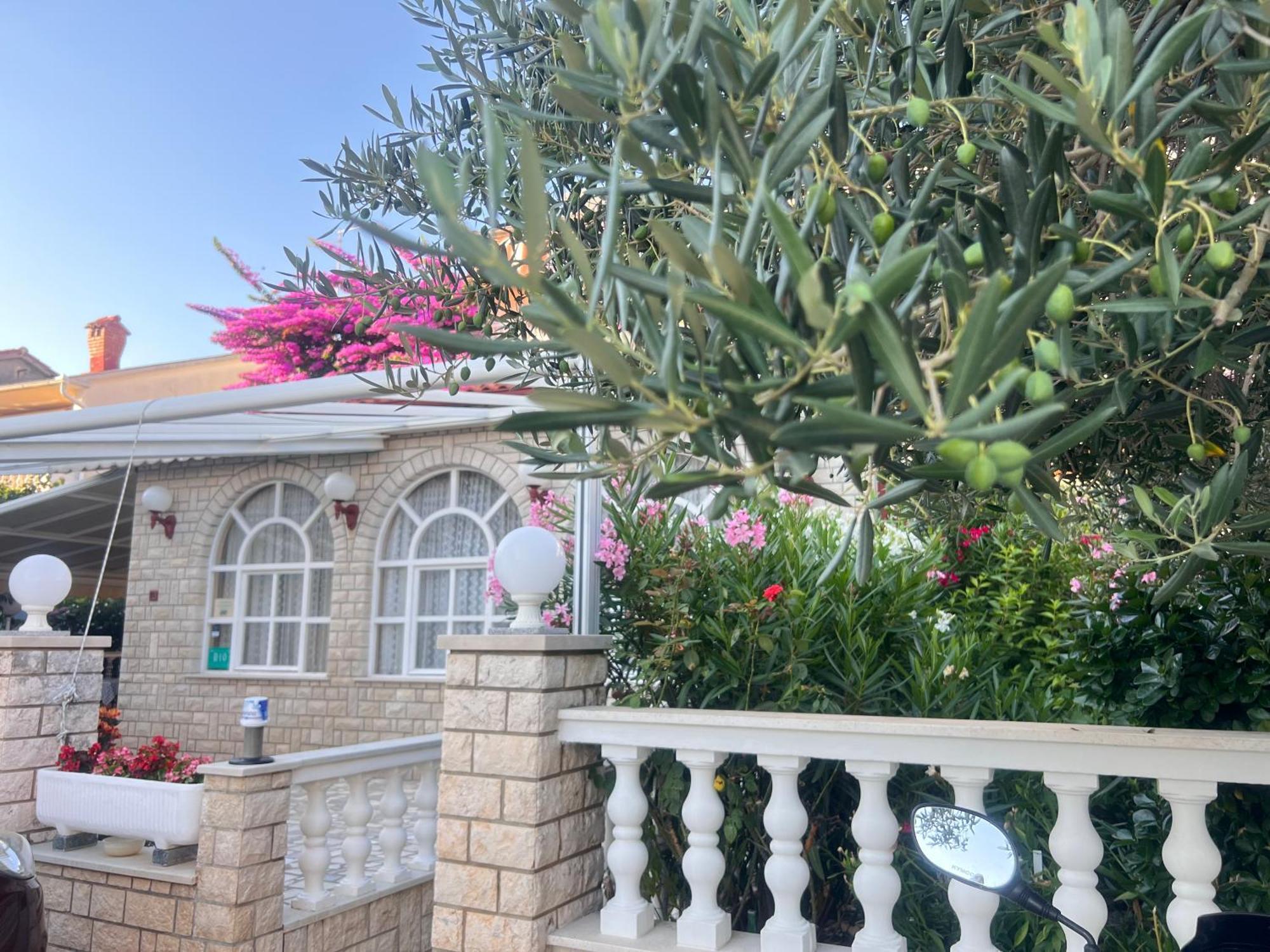 Bed & Breakfast Rab Palit Zewnętrze zdjęcie
